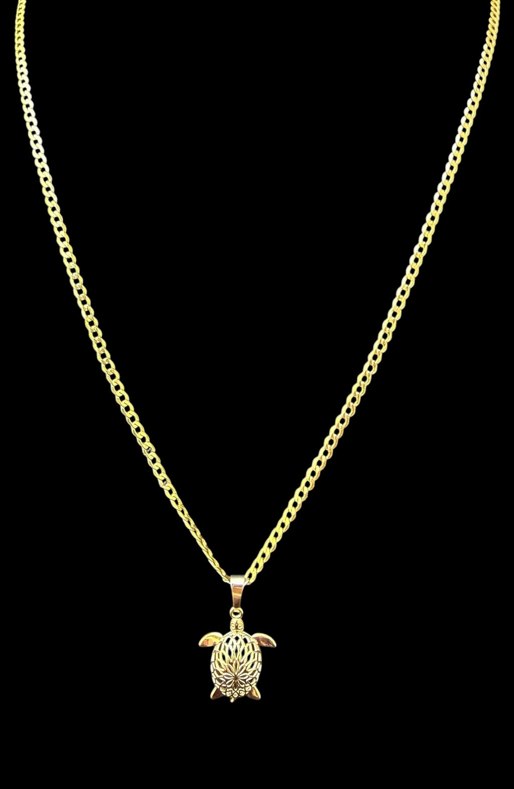 Cadena 24” con dije de Tortuga Oro 10k