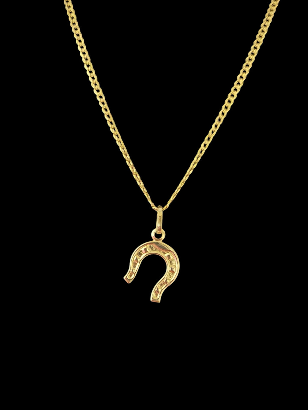 Cadena con Dije de Herradura en Oro 10K