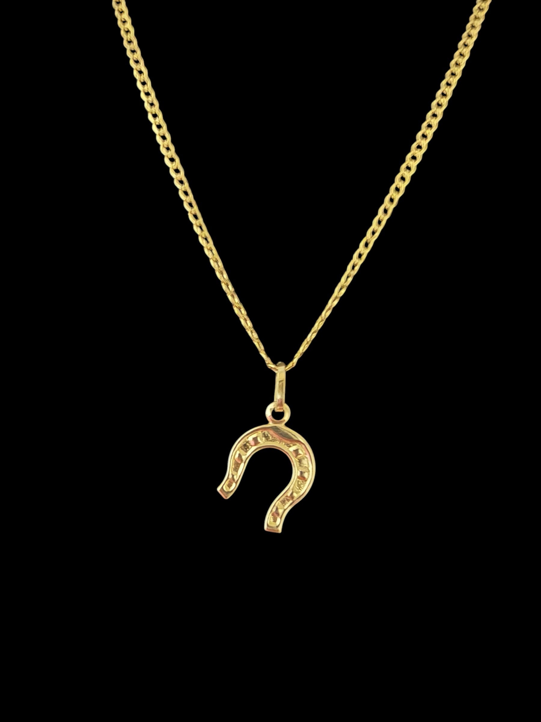 Cadena con Dije de Herradura en Oro 10K
