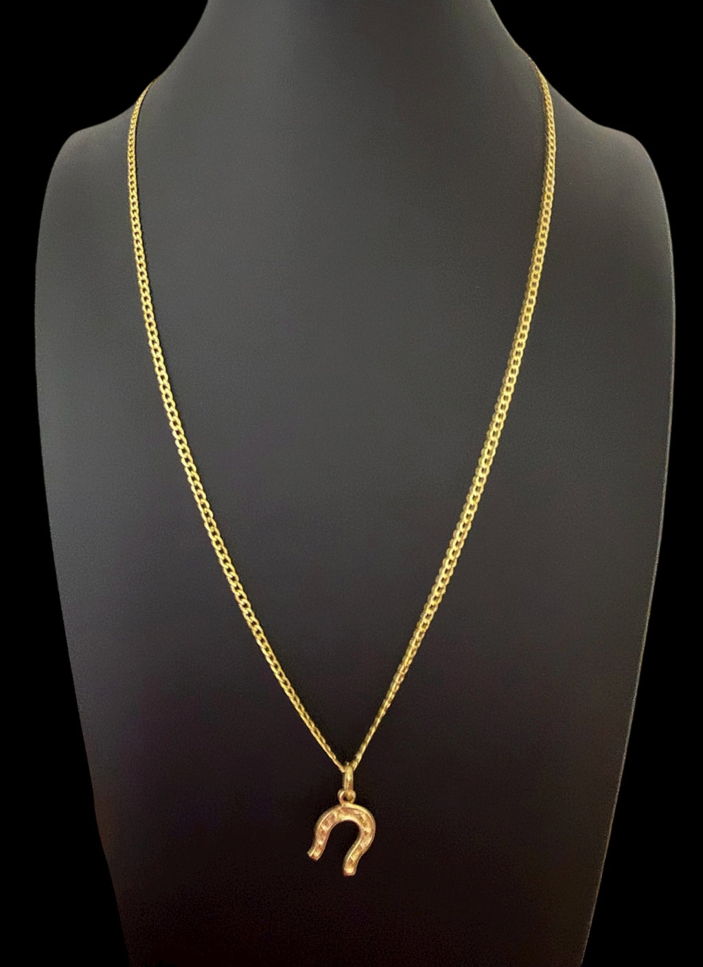 Cadena con Dije de Herradura en Oro 10K