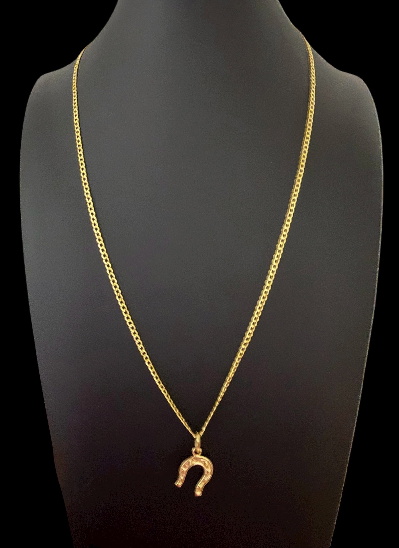 Cadena con Dije de Herradura en Oro 10K